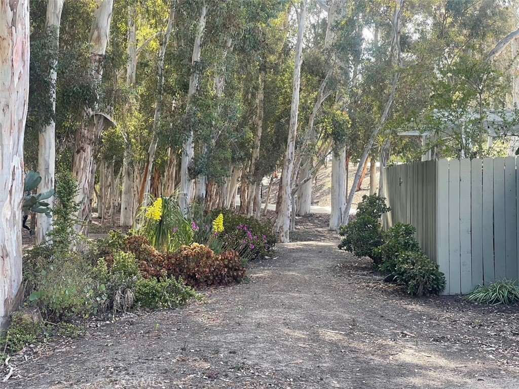 https://media.crmls.org/medias/8d018187-447b-48c9-9c8c-b3ca1b64f498.jpg?preset=X-Large