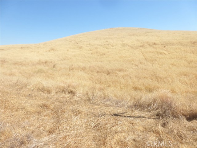 Detail Gallery Image 27 of 42 For 0 Douglas Rd. (Lots 40-43), San Miguel,  CA 93451 - – Beds | – Baths