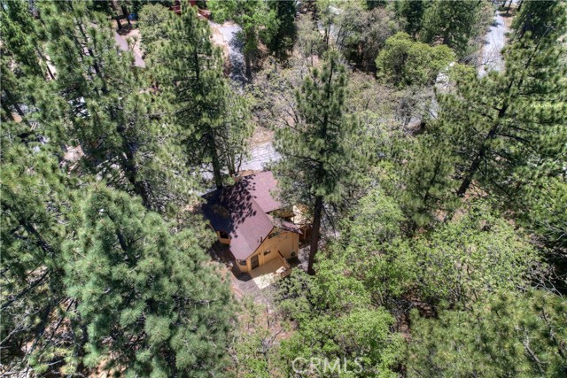 33294 Wild Rose Drive, Green Valley Lake CA: https://media.crmls.org/medias/8d045874-22f1-4fa0-bc98-e6bc2d934c74.jpg