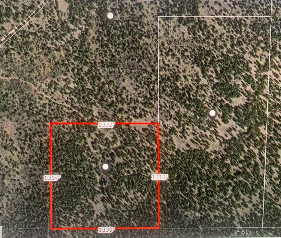 0 Lot on County Rd 133C
