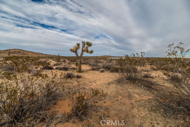 Detail Gallery Image 41 of 50 For 60786 Lynwood Rd, Joshua Tree,  CA 92252 - – Beds | – Baths