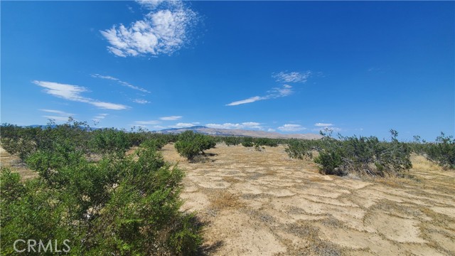 0 Budlong Ave & 114th St West, Rosamond, California 93560, ,Land,For Sale,0 Budlong Ave & 114th St West,CRSR23171065