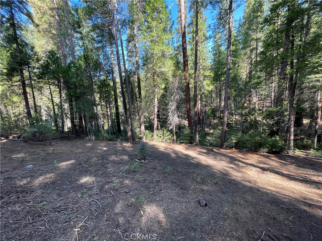 8D1132Bd 17B8 4Ba3 A25F 2Ded452F1406 7915 Koon Hollar Road, Wawona, Ca 95389 &Lt;Span Style='BackgroundColor:transparent;Padding:0Px;'&Gt; &Lt;Small&Gt; &Lt;I&Gt; &Lt;/I&Gt; &Lt;/Small&Gt;&Lt;/Span&Gt;