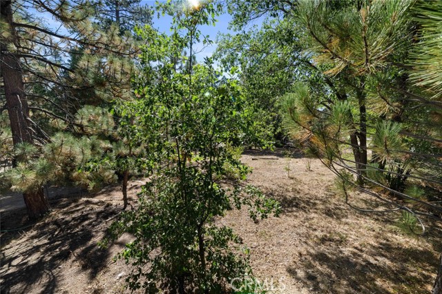 682 Talmadge Road, Big Bear Lake CA: https://media.crmls.org/medias/8d1328ca-9f42-4673-869a-0fbd3e8e2d15.jpg