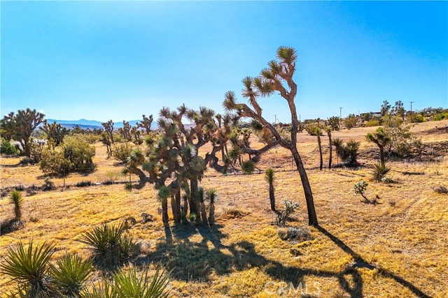 Detail Gallery Image 63 of 75 For 57920 Buena Vista Dr, Yucca Valley,  CA 92284 - 3 Beds | 2 Baths