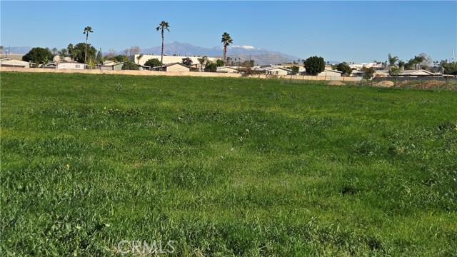 0 Polk St, Riverside CA: https://media.crmls.org/medias/8d1b1a71-84e7-4997-9a00-88df82649763.jpg