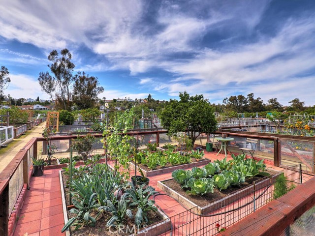 Vegetable  Garden