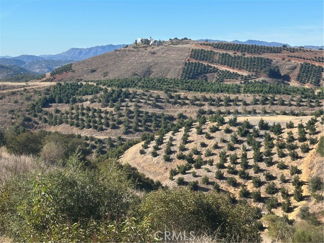 Detail Gallery Image 10 of 12 For 0 via Barranca, Temecula,  CA 92590 - – Beds | – Baths