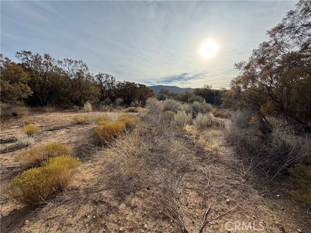 Detail Gallery Image 12 of 12 For 59255 Breiner Valley Rd, Anza,  CA 92539 - – Beds | – Baths