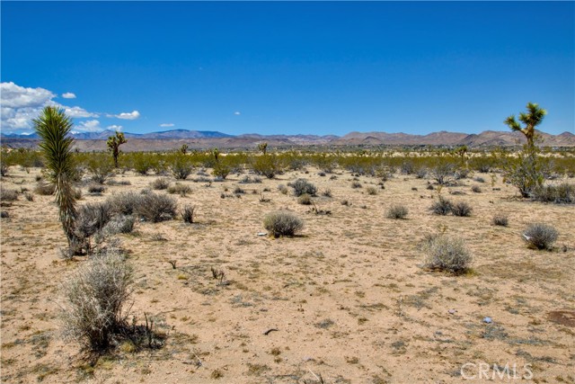 Detail Gallery Image 21 of 21 For 888 Lucky Ln, Landers,  CA 92285 - – Beds | – Baths