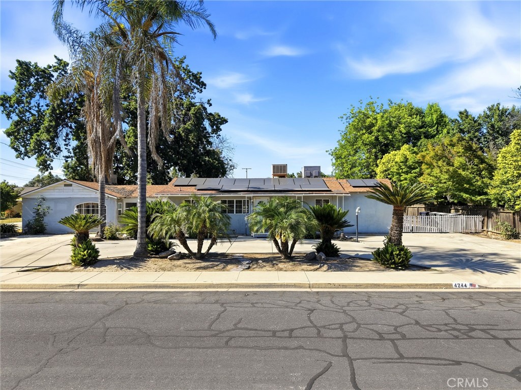 4244 W Judy