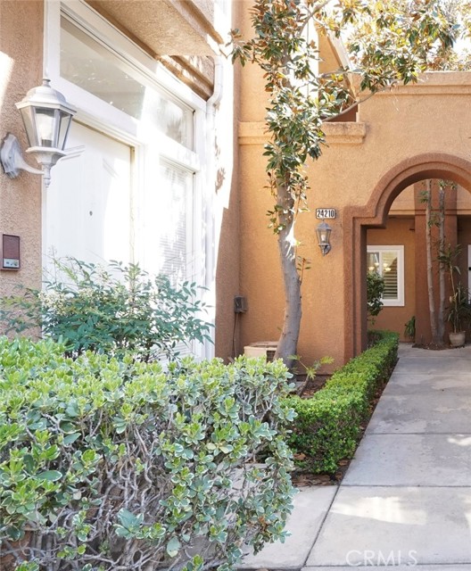 Front Image Thumbnail for CROC26050846