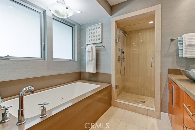 Master Bathroom Spa Tub and Adjacent Separate Shower