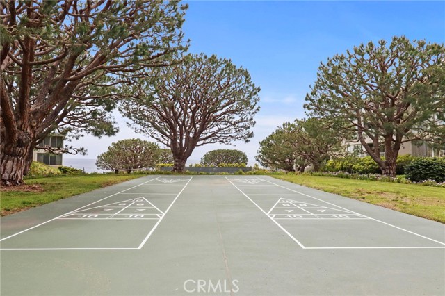 Shuffleboard courts