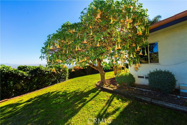 16 Stirrup Road, Rancho Palos Verdes, California 90275, 3 Bedrooms Bedrooms, ,2 BathroomsBathrooms,Residential,Sold,Stirrup,PW22029127