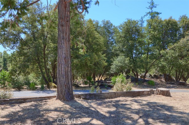 Detail Gallery Image 40 of 49 For 3318 Triangle Rd, Mariposa,  CA 95338 - 3 Beds | 2 Baths