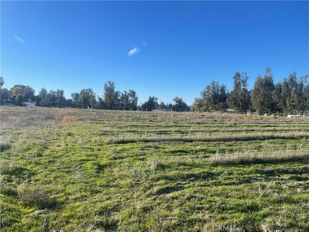 MLS #WS25276306 image #17