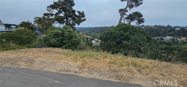 0 Croyden Lane, Cambria CA: https://media.crmls.org/medias/8d4bdedf-2cef-456e-8ad5-4606455dcbc0.jpg