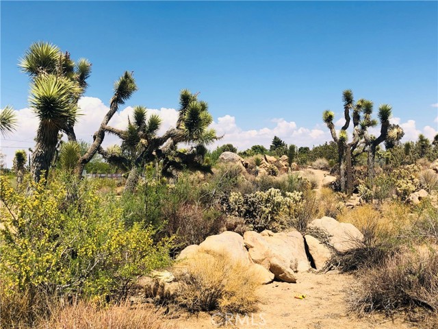 1 Jemez, Yucca Valley, CA, 92284 1 Jemez, Yucca Valley, CA, 92284