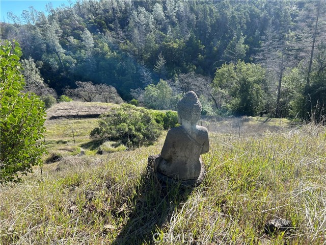 Detail Gallery Image 27 of 30 For 14903 Western Mine Rd, Middletown,  CA 95461 - – Beds | – Baths