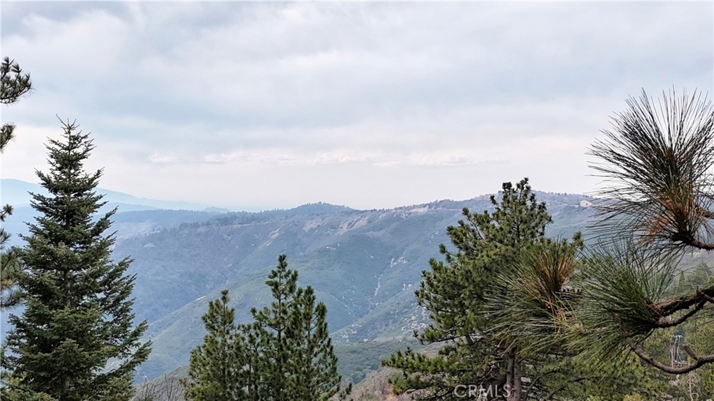 https://media.crmls.org/medias/8d53597f-e89f-4208-864e-3ae009c9df8a.jpg?preset=X-Large