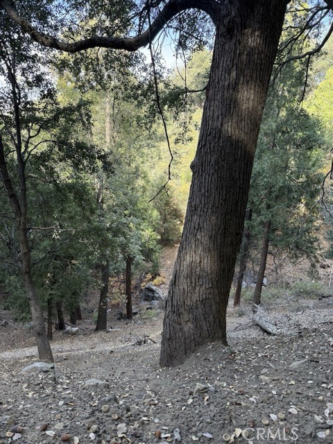 Detail Gallery Image 2 of 16 For 0 Mojave River Rd, Cedarpines Park,  CA 92322 - – Beds | – Baths