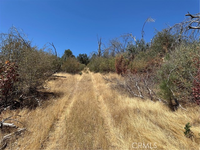 3896 B State Highway 140, Mariposa CA: https://media.crmls.org/medias/8d543db9-06ee-4a04-9ed5-266a68571d4b.jpg