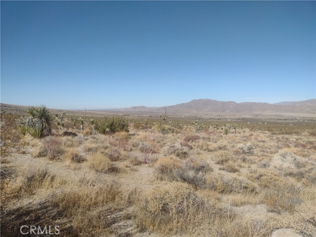 Detail Gallery Image 6 of 9 For 40 Powerline Rd, Lucerne Valley,  CA 92356 - – Beds | – Baths