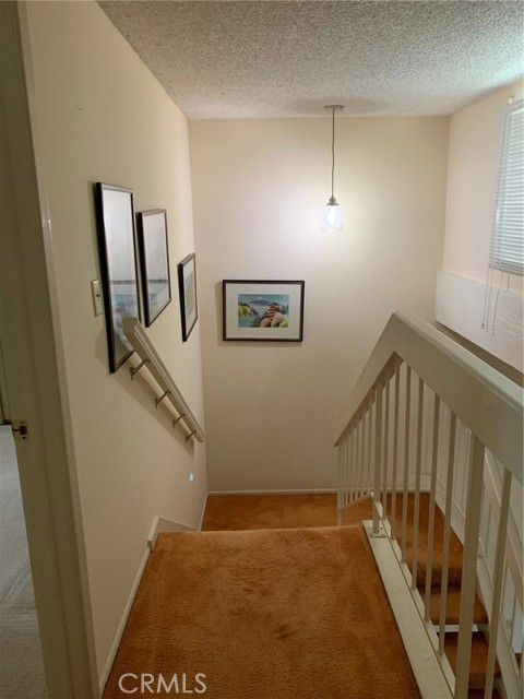 10065 Larwin, 5 photo 7