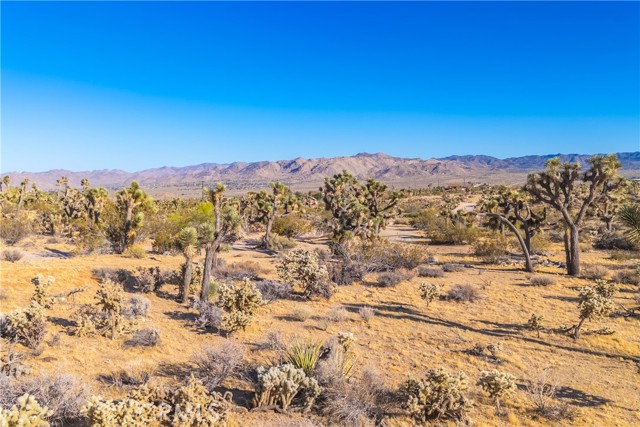 Detail Gallery Image 47 of 75 For 58871 Meredith Ct, Yucca Valley,  CA 92284 - 3 Beds | 2 Baths