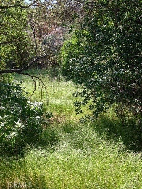 Detail Gallery Image 29 of 64 For 37 Lynx Ln, Prather,  CA 93651 - – Beds | – Baths