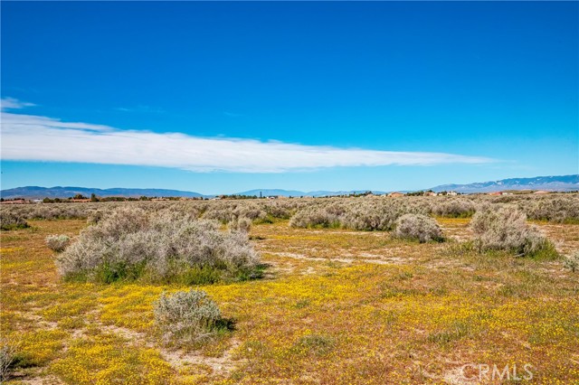 Detail Gallery Image 3 of 12 For 0 Avenue C-8, Antelope Acres,  CA 93536 - – Beds | – Baths