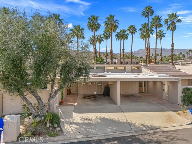 Image 5 of 45 For 73575 Encelia