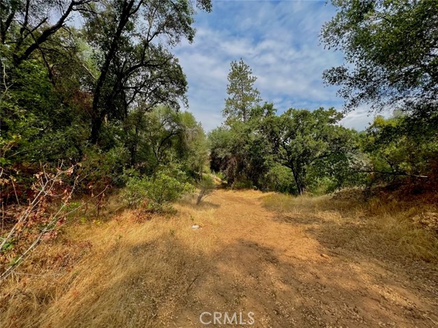 Detail Gallery Image 9 of 10 For 10 Ac Miller Rd / Old Hwy, Mariposa,  CA 95338 - – Beds | – Baths