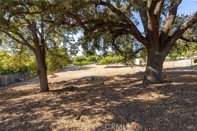 Detail Gallery Image 53 of 59 For 720 N Trigo Ln, Paso Robles,  CA 93446 - 3 Beds | 2/1 Baths