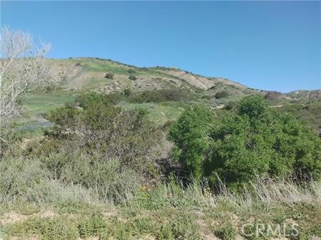 125 Fern Drive, Simi Valley CA: https://media.crmls.org/medias/8d80d29a-e9b0-40a3-8bab-40aac38527c3.jpg