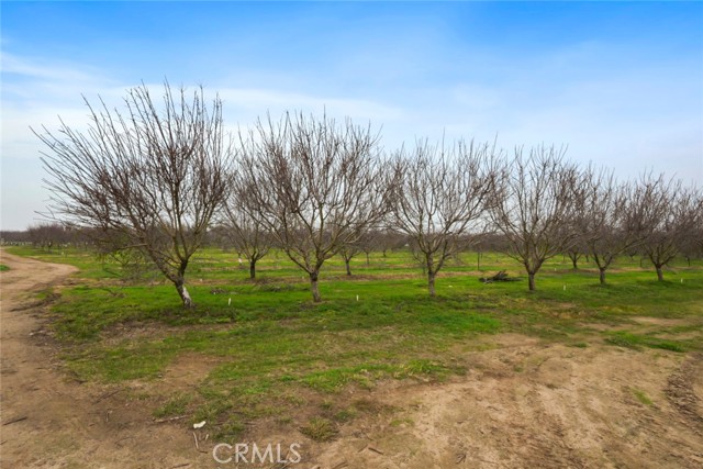 Detail Gallery Image 19 of 47 For 16221 Carrolton, Escalon,  CA 95320 - – Beds | – Baths