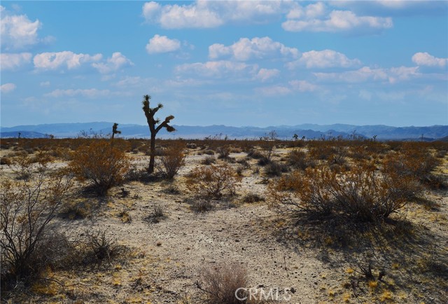 Detail Gallery Image 6 of 10 For 6130 La Brisa Dr, Joshua Tree,  CA 92252 - – Beds | – Baths