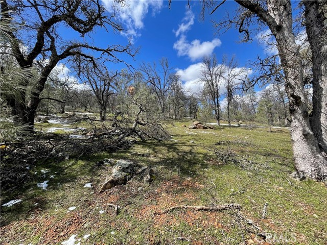 Detail Gallery Image 16 of 20 For 5799 Corey Pines Rd, Mariposa,  CA 95338 - – Beds | – Baths