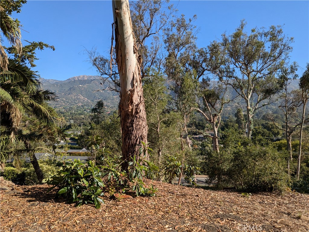 8D8F6B25 15Ad 42Ab A198 4E331Fa13D95 572 Barker Pass Road, Montecito, Ca 93108 &Lt;Span Style='BackgroundColor:transparent;Padding:0Px;'&Gt; &Lt;Small&Gt; &Lt;I&Gt; &Lt;/I&Gt; &Lt;/Small&Gt;&Lt;/Span&Gt;