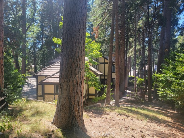 407 Giant Oak Circle, Lake Arrowhead CA: https://media.crmls.org/medias/8d8fac8b-11d2-4449-824b-61ea8a0ba83b.jpg