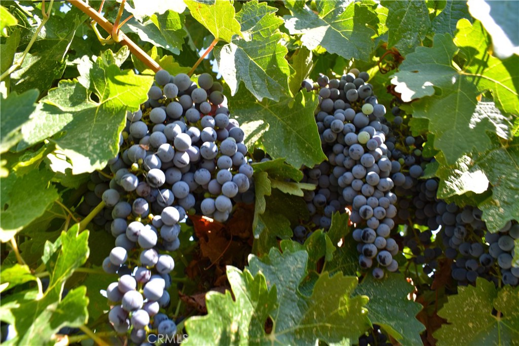 2023 Twelve Oaks Drive