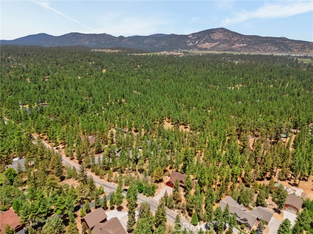 Detail Gallery Image 56 of 57 For 1947 Shady, Big Bear City,  CA 92314 - 5 Beds | 3/1 Baths