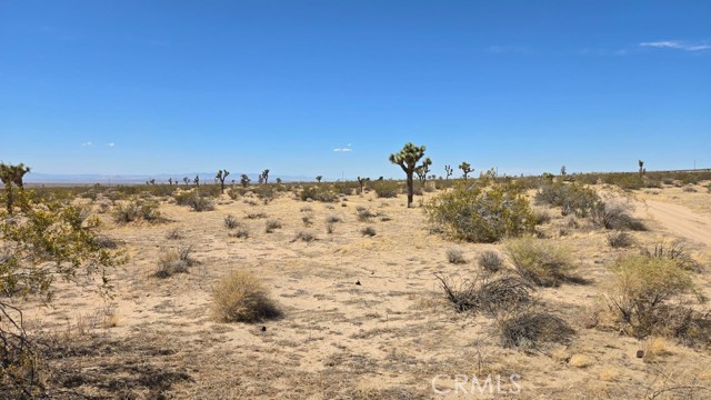 Image 13 of 21 For 0 147th St E Vicinity Capleton D