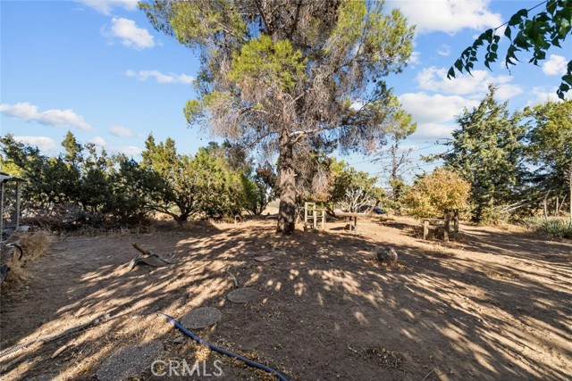 Detail Gallery Image 47 of 54 For 8676 Sky Line Dr, Pinon Hills,  CA 92372 - 3 Beds | 2/1 Baths