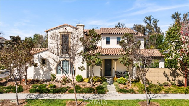 Front Image Thumbnail for CROC26037798