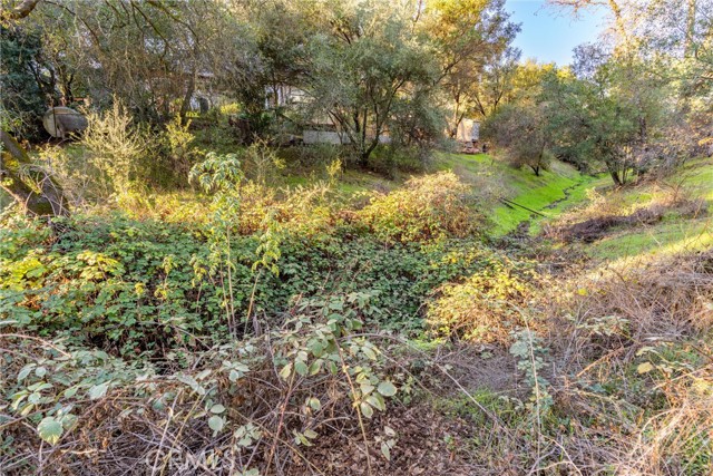 Detail Gallery Image 45 of 55 For 89 Glen, Oroville,  CA 95966 - 4 Beds | 3 Baths