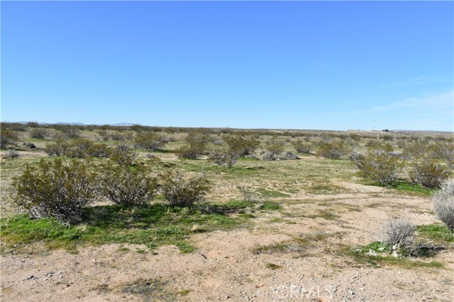 Detail Gallery Image 19 of 31 For 24 Frontier, Helendale,  CA 92342 - – Beds | – Baths