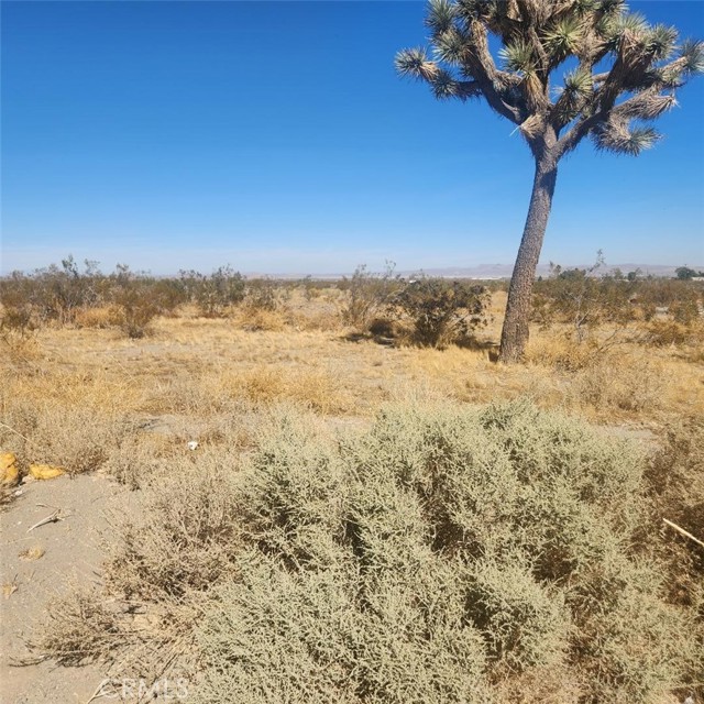 11 Palmdale Road, Pinon Hills CA: https://media.crmls.org/medias/8da9e433-fefd-4f73-9fc5-6de0b275105e.jpg