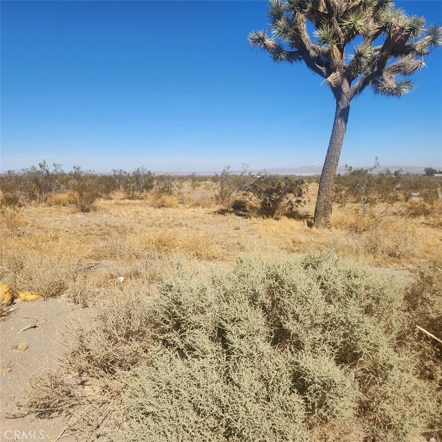 MLS #IV25174880 image #3